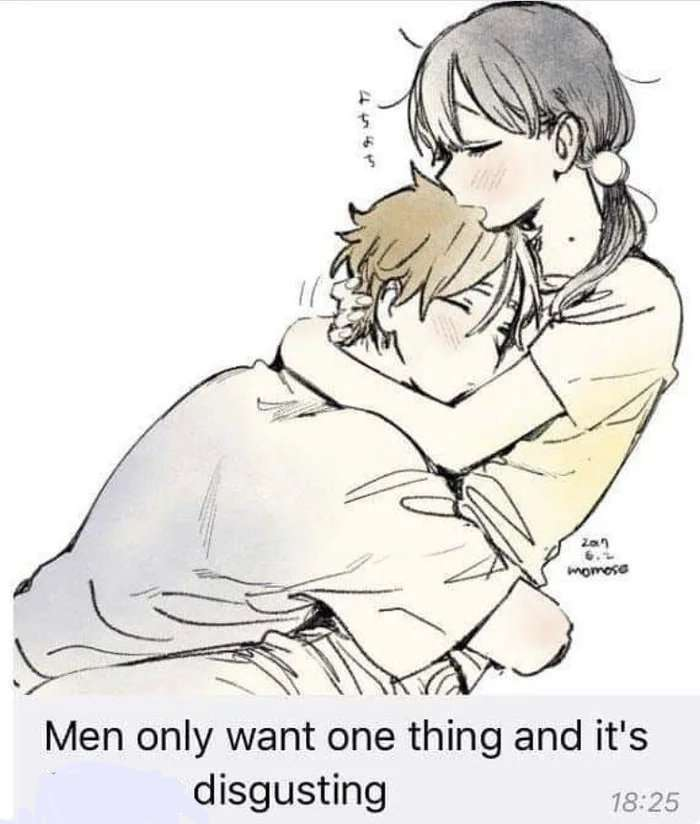 An anime girl holding a boy in her arms, captioned "Men only want one thing and it's disgusting"